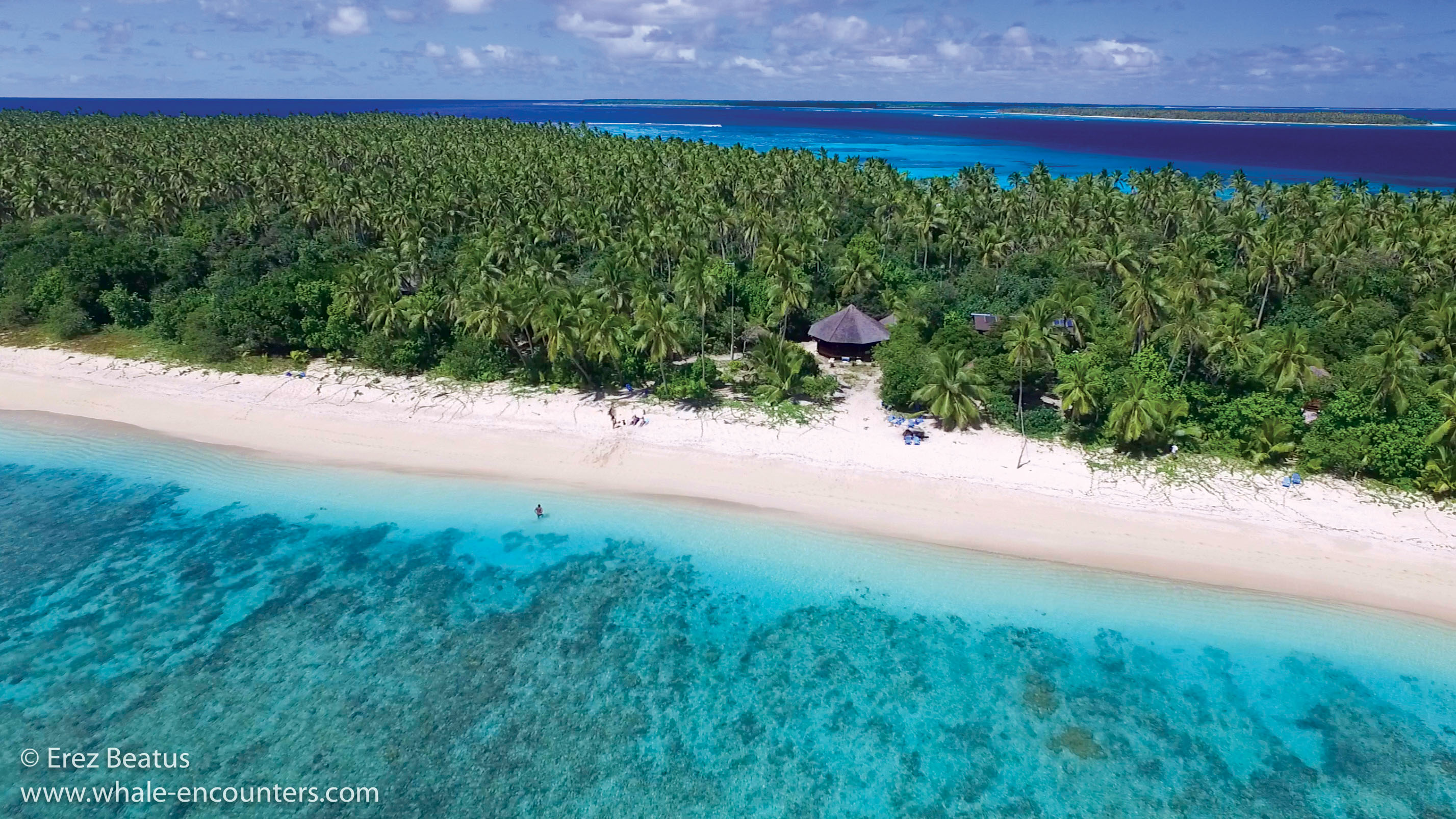 Serenity Beaches Resort - Tonga, South Pacific - Private Islands for Sale